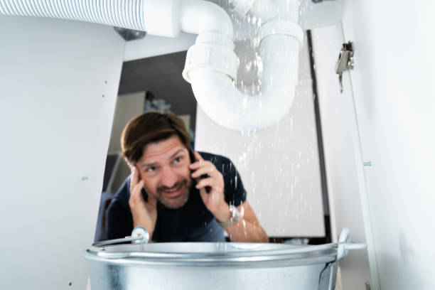 Best Local Plumber Services  in Huachuca City, AZ